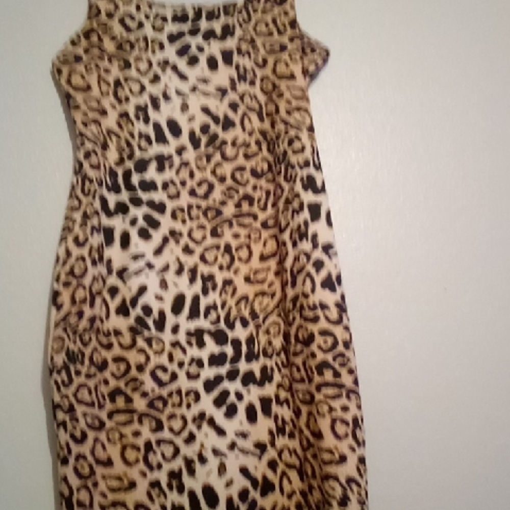 Leopard Print Sleeveless Dress